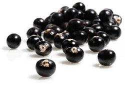 How Acai Berry Fights Cancer